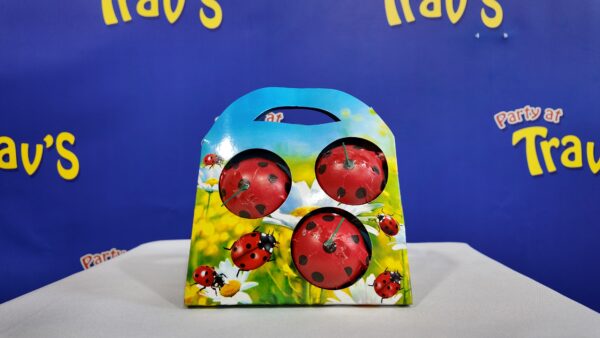 LADYBUGS/FLYING PIGGY