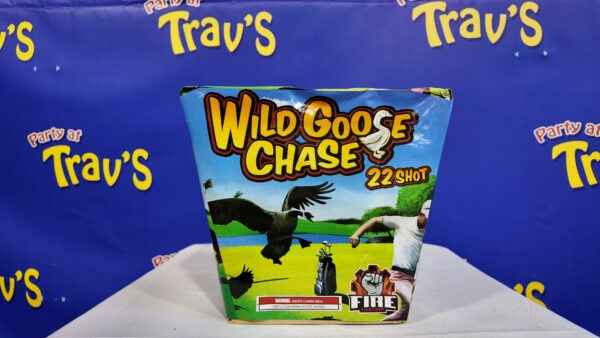 Wild Goose Chase